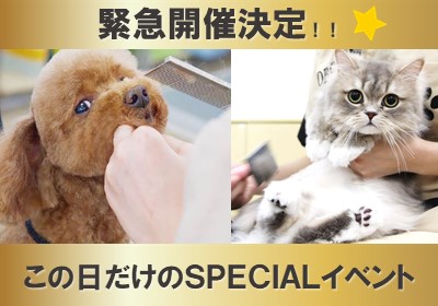 【SPECIAL講座】ねこちゃんとわんちゃんのお手入れの違いについて学ぼう!