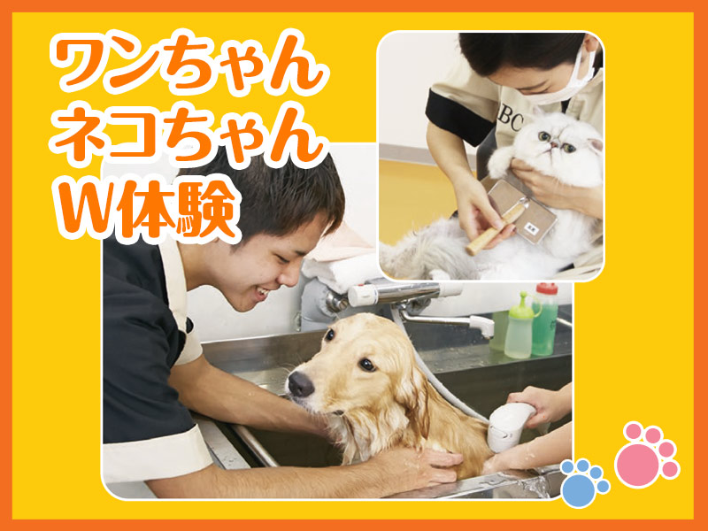 ワンちゃんネコちゃん W体験