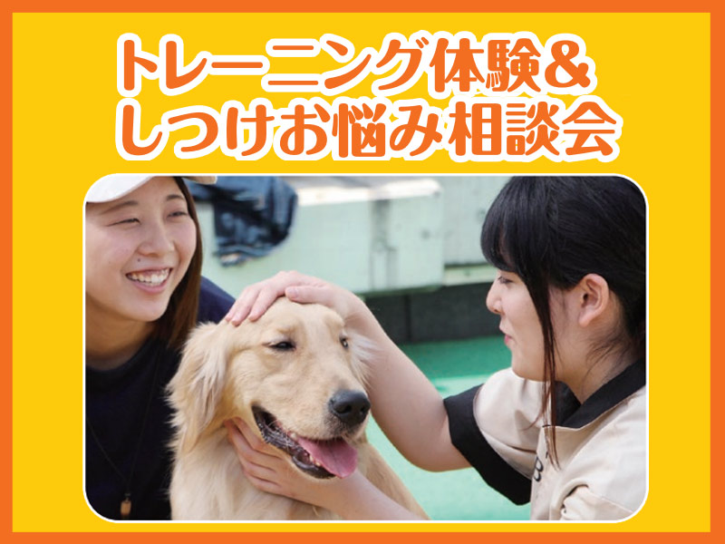 トレーニング体験&しつけお悩み相談会