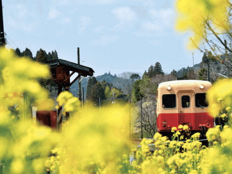 どんどん増える☆観光列車の魅力を知ろう!
