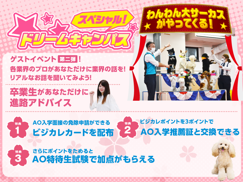 【来校ORオンライン】新高校3年生のためだけの!スペシャルドリームキャンパス!