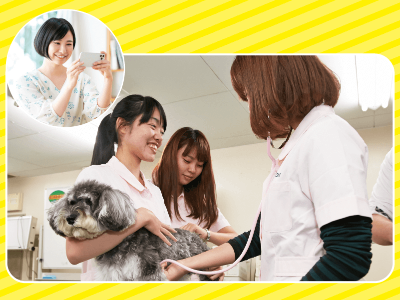 動物看護専攻の全てがわかる!オンラインオープンキャンパス