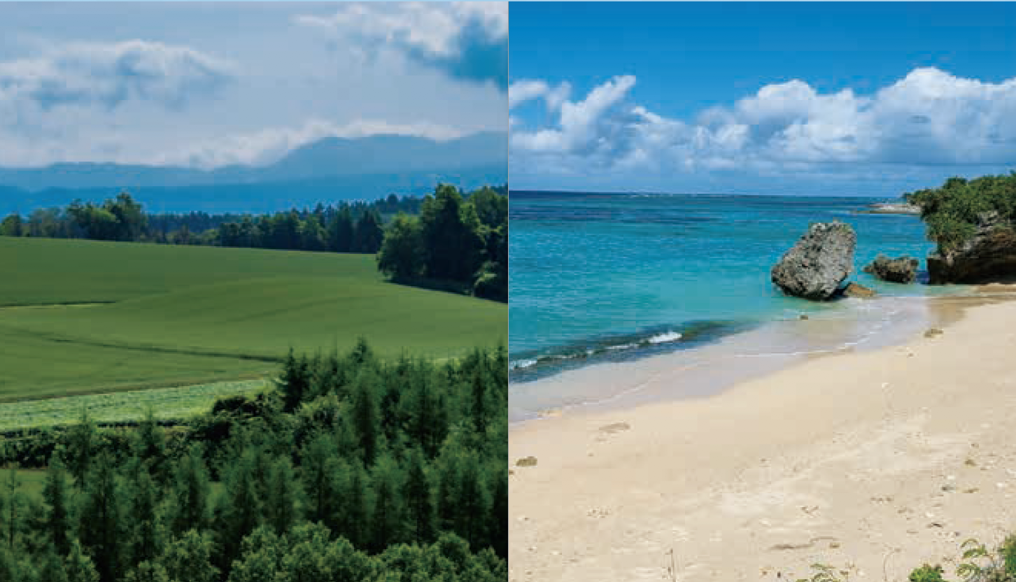 どっちが好き?沖縄・北海道ツアープランニング体験