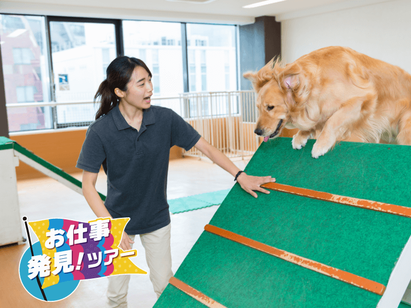 【お仕事発見!ツアー】ドッグ トレーナーのお仕事体験