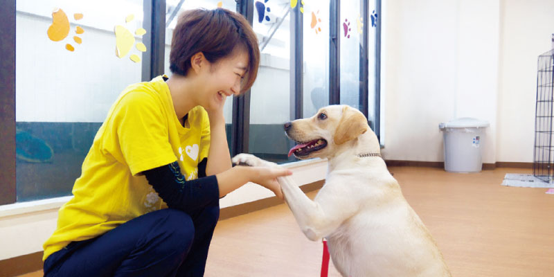 ワンちゃんのトレーニング方法を学んでみよう