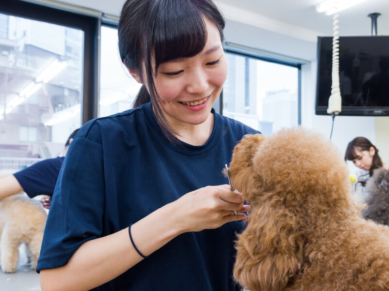 現場で活躍するプロによる業界裏話を聞いてみよう!