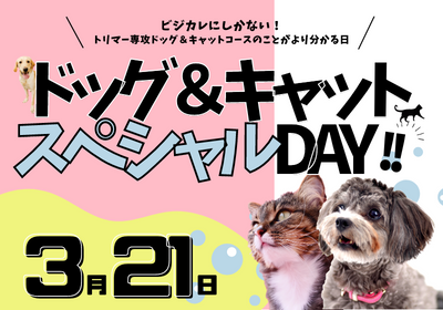 ドッグ＆キャットトリマー！スペシャルDAY★