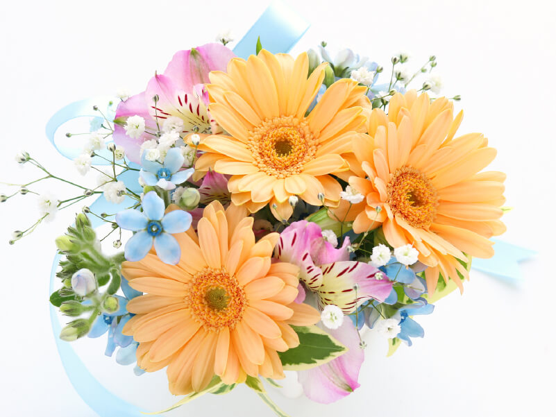 春の花遊びパステルカラーのminiアレンジ
