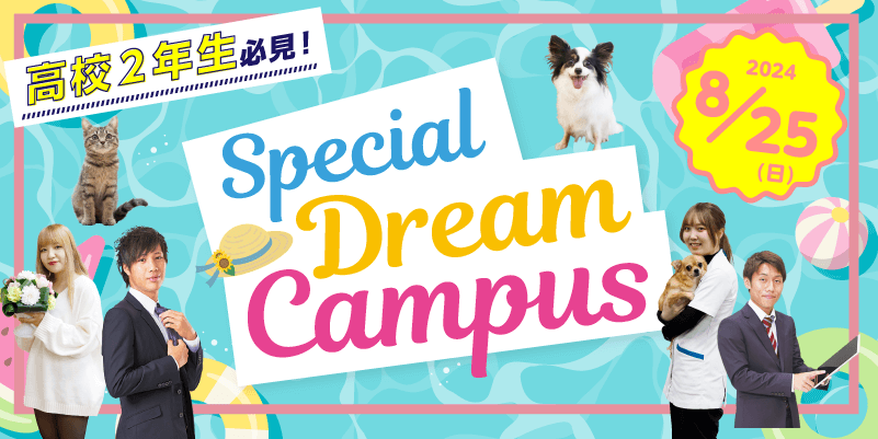 高校3年生のためだけの!プレミアムドリームキャンパス!