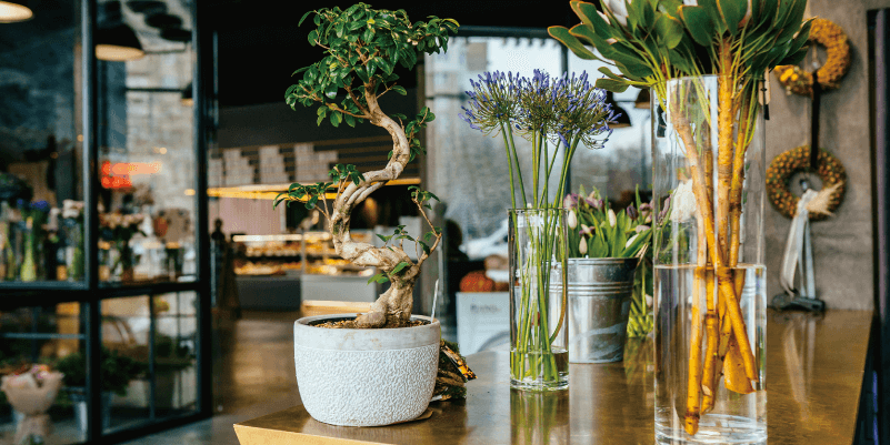 【プレミアムドリームキャンパス】お花屋さんへGO!花のプロから教わる空間コーディネート