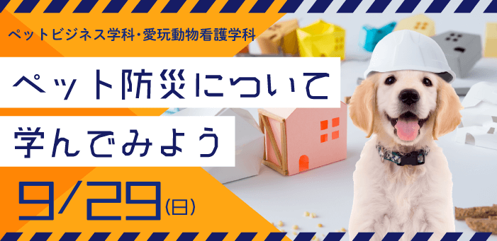 ペット防災について学ぼう