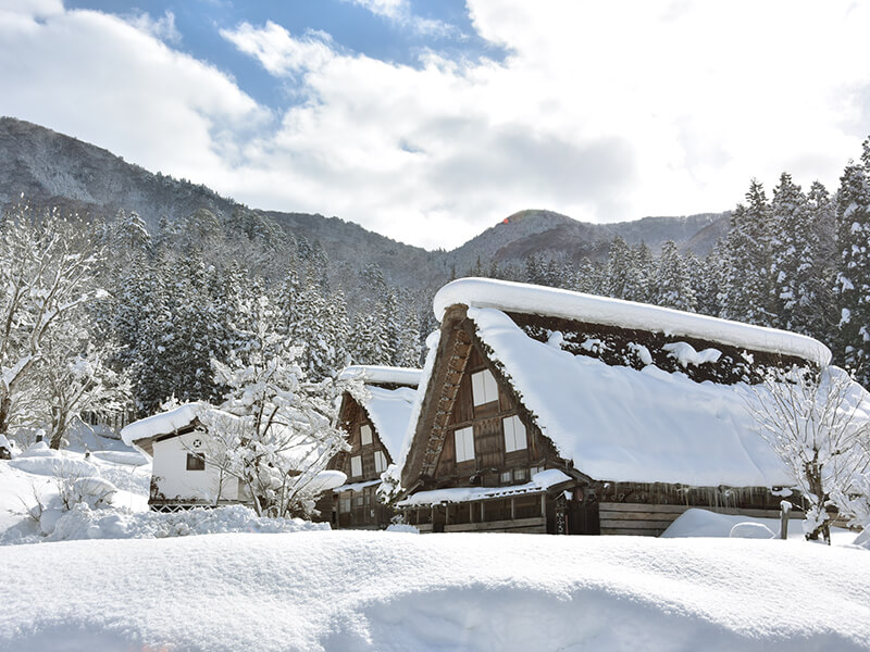 冬休みはどこへ行く?旅行をプランニングしてみよう