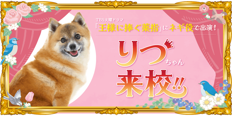 『王様に捧ぐ薬指』に「ネギ」役で出演の「りつ」ちゃんが来校