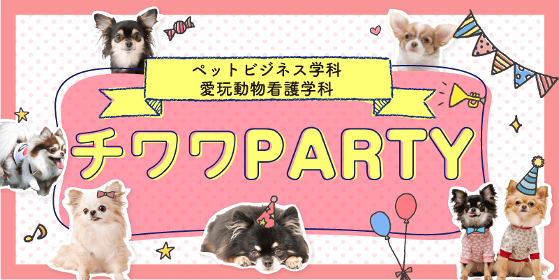 チワワPARTY
