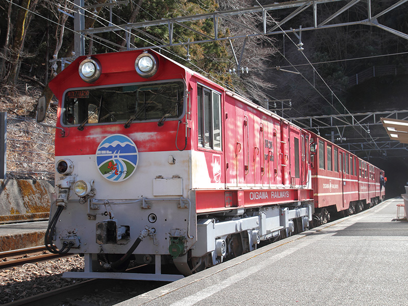 電車・気動車二刀流元運転士の実は…