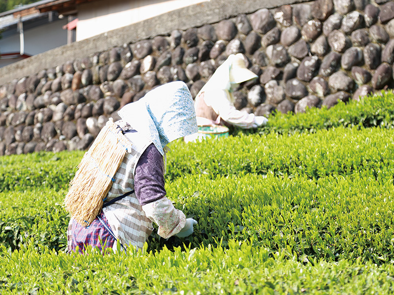 短時間で日本一周？学校を飛び出して全国の観光情報や名産を知ろう！