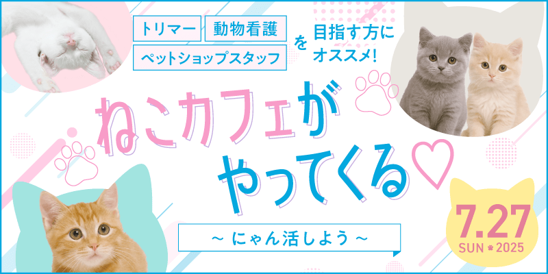 ねこカフェがやってくる♡〜にゃん活しよう〜