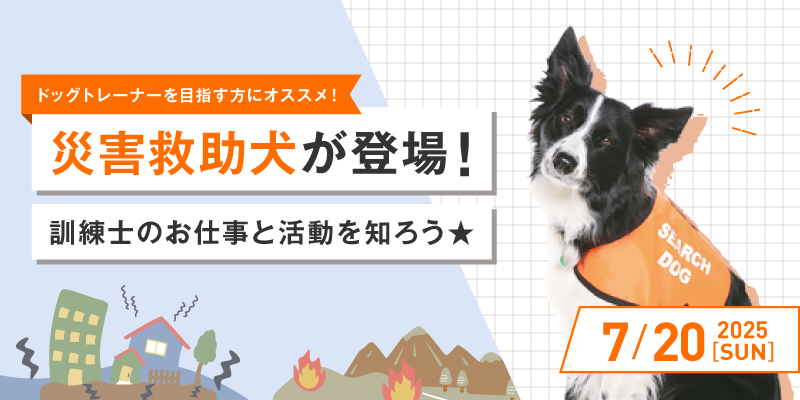災害救助犬が登場!訓練士のお仕事と活動を知ろう★