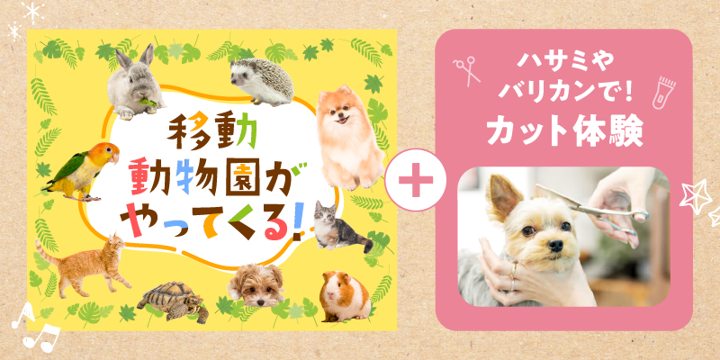 移動動物園+ハサミやバリカンで!カット体験