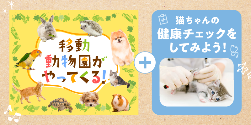移動動物園+猫ちゃんの健康チェックをしてみよう!