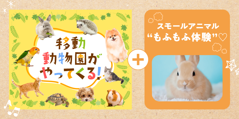 移動動物園+スモールアニマル“もふもふ体験”♡