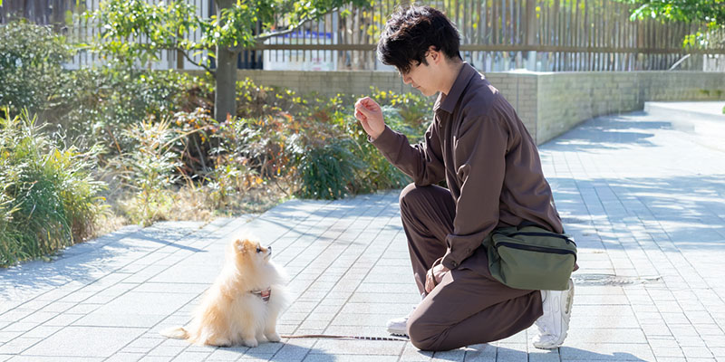 困った行動どう直す？行動改善トレーニング