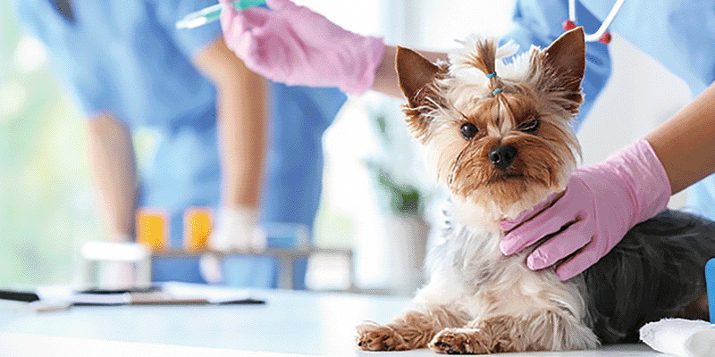 チーム医療を学ぼう!～手術準備編～