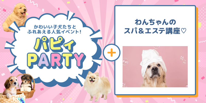 パピィパーティー♡＋わんちゃんのスパ＆エステ講座♡