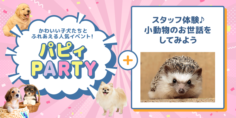 パピィパーティー♡＋スタッフ体験♪小動物のお世話をしてみよう
