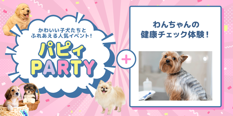 パピィパーティー♡＋わんちゃんの健康チェック体験！