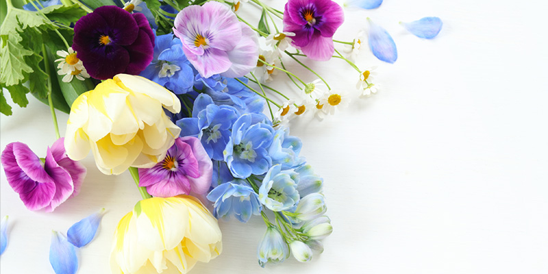 大人カワイイ★花束制作～濃淡コーデの花合わせ編～ 