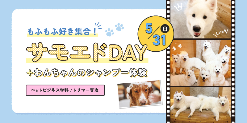 サモエドDAY+わんちゃんのシャンプー体験