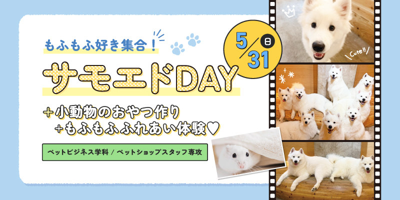 サモエドDAY+小動物のおやつ作り+もふもふふれあい体験♥