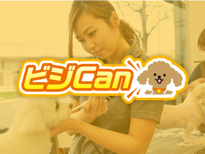 10/1(日) ビジCan 人気&レアな犬種と触れ合える☆ 大型犬大集合!