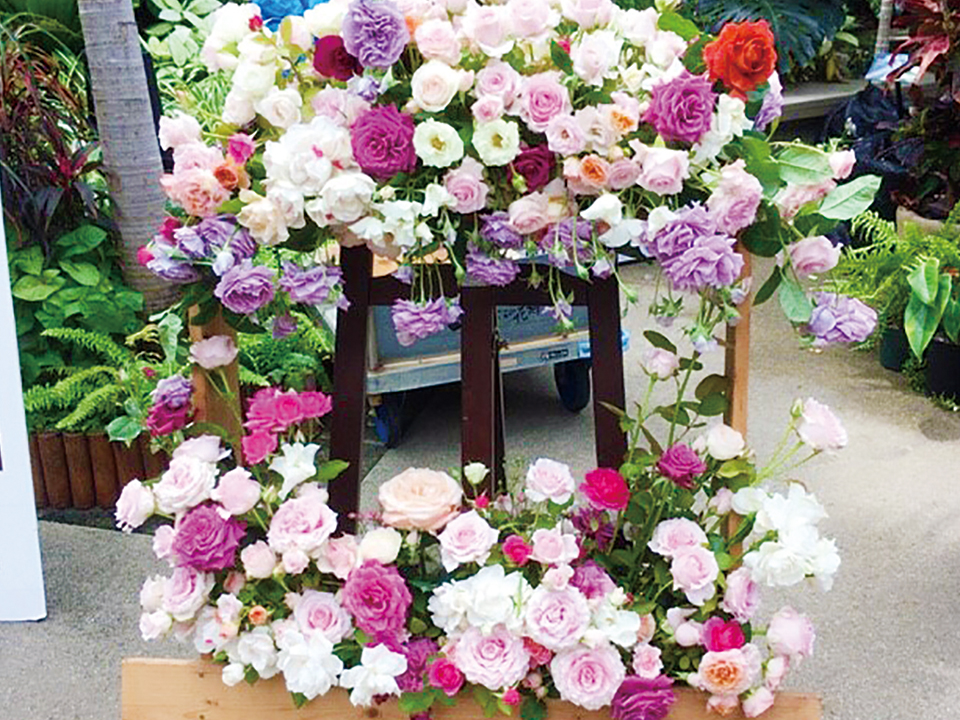 大阪ばら祭 見学ツアー2019 in 咲くやこの花館