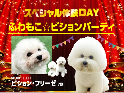 ふわもこ☆ビションパーティ