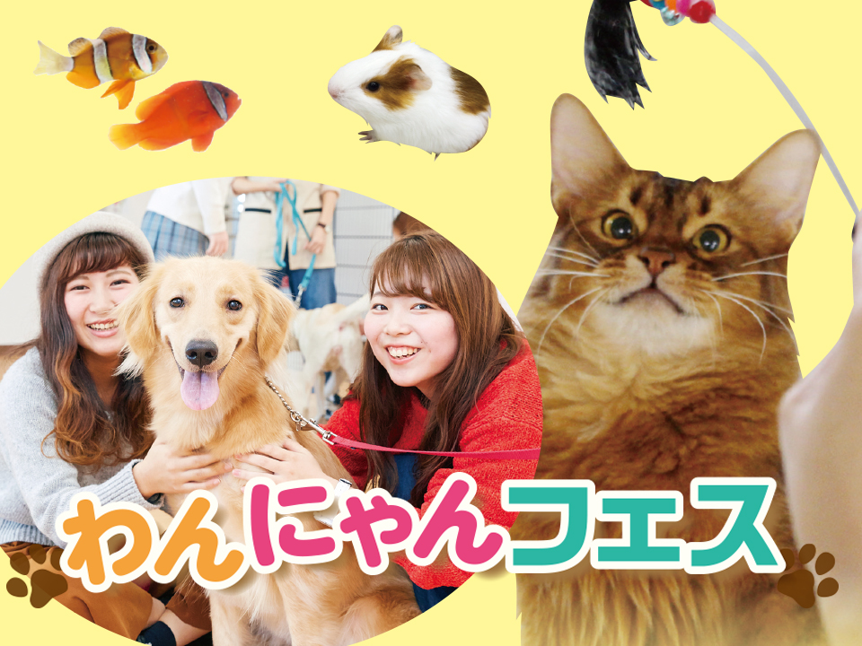 ガチかわ♡わんにゃんフェス