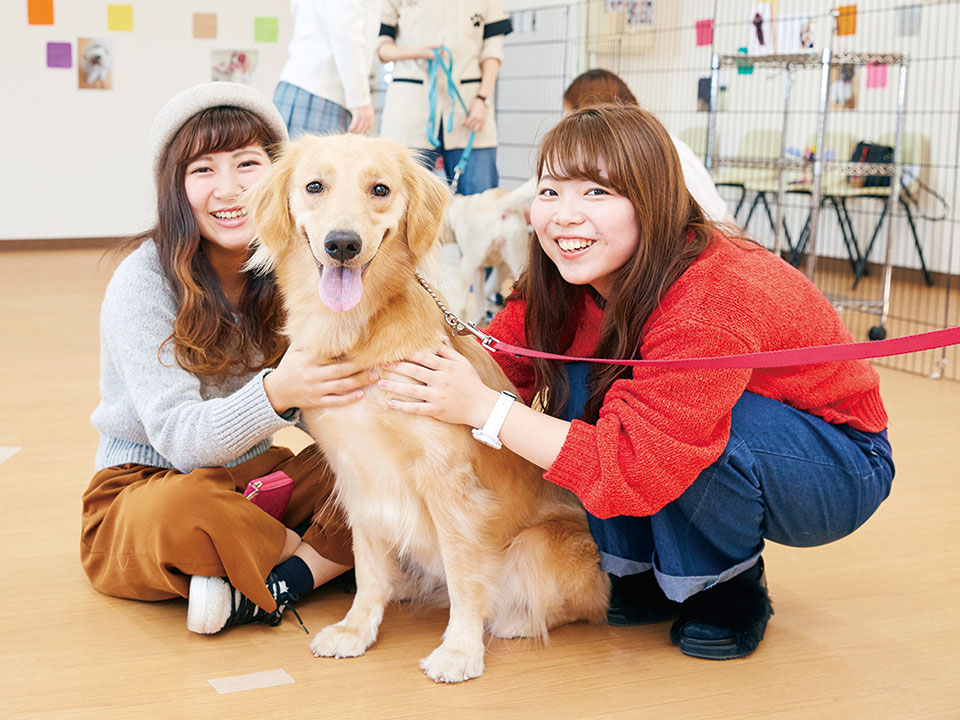本気でわんこと遊ぼう♪