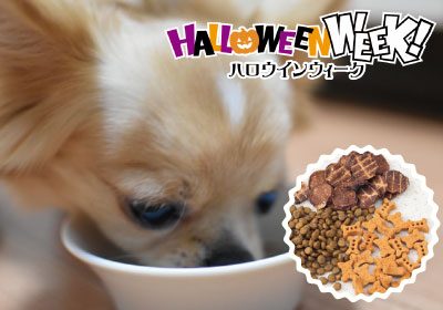 おうちのわんちゃんにプレゼント!わんちゃんのおやつ作り〜ハロウィンver〜