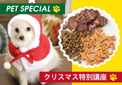 わんちゃんのおやつ作り〜クリスマス編〜
