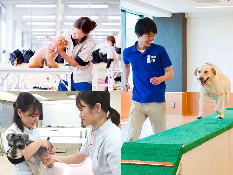 ペットビジネス業界 まずはここからスタート!ペットのおシゴトまるごと体験