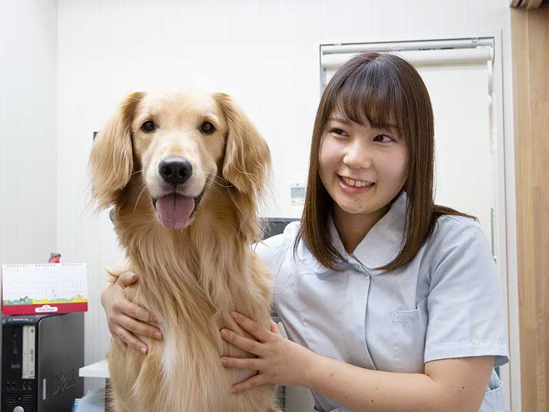 業界で活躍する卒業生による特別講座!~未来の自分のイメージしよう~現役動物看護師に学ぶ!