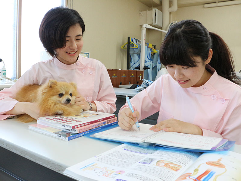 TSBでしか学べない動物看護技術