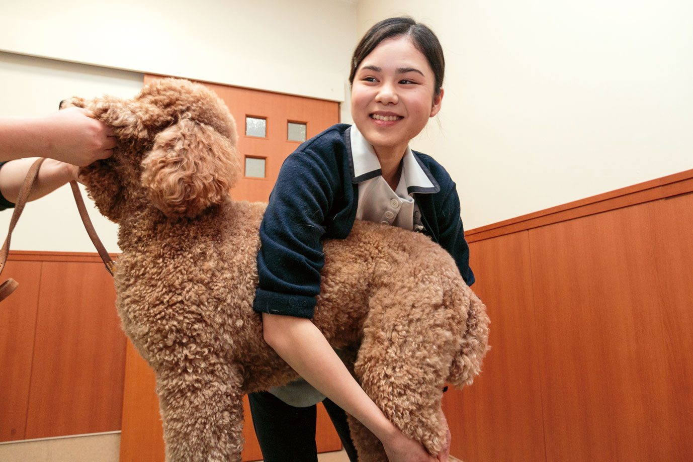 動物看護体験―看護士さんのお仕事って?