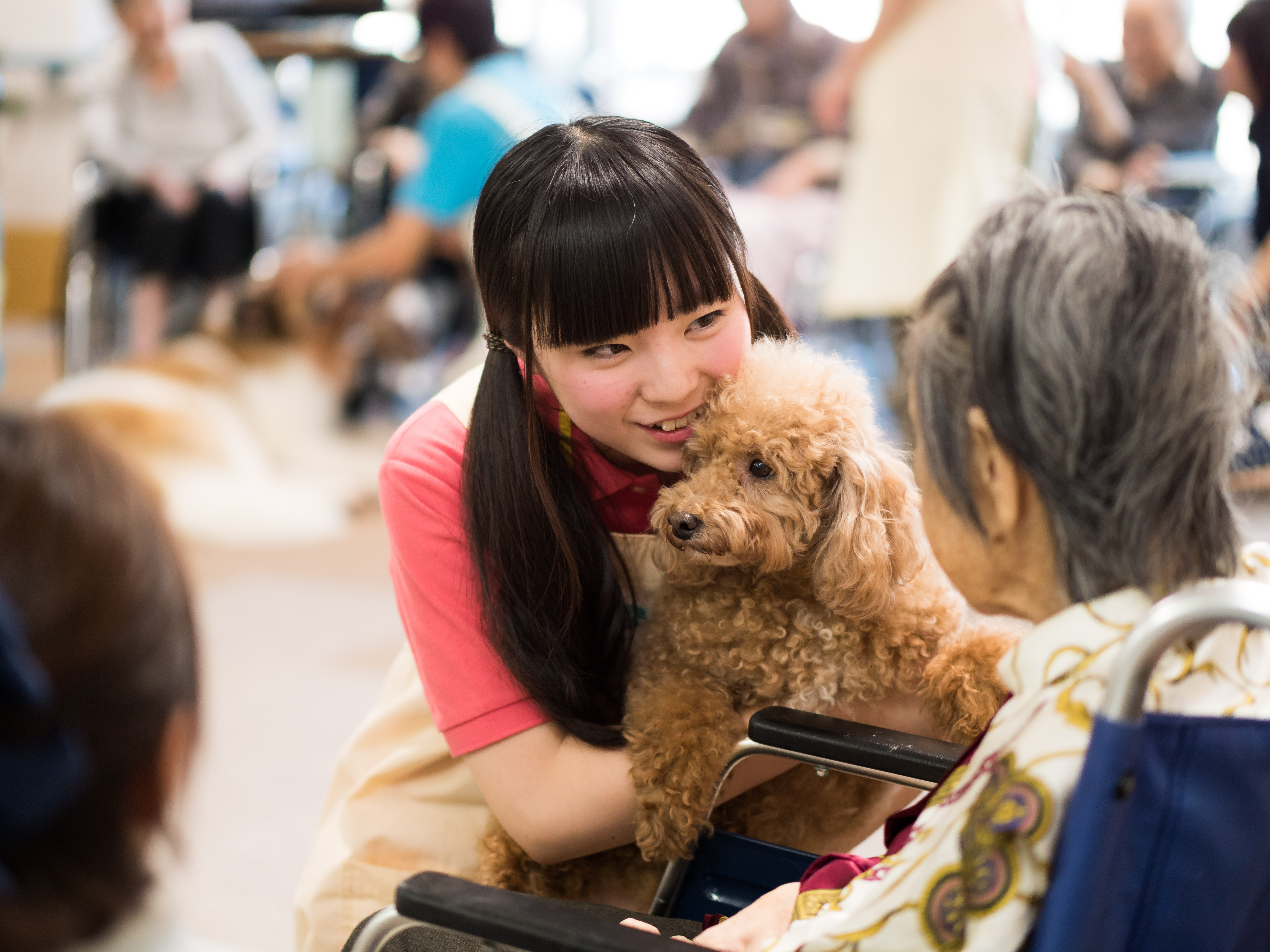 可愛いワンちゃんと一緒にアニマルセラピーに行こう!【PM】
