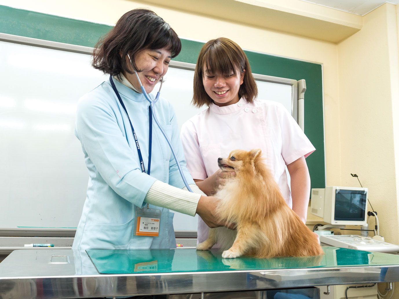 動物看護体験―ワンちゃんの健康チェック