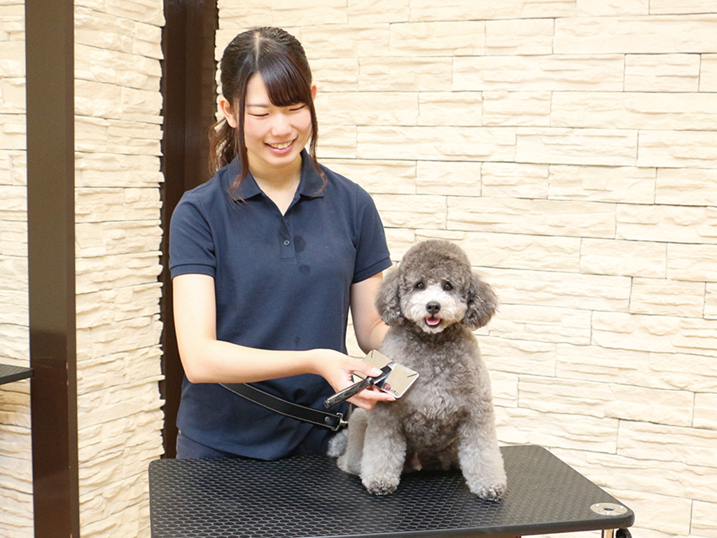 ワンちゃんのお手入れ講座♪