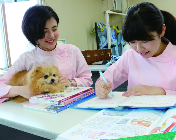 動物看護師さんのお仕事に 挑戦してみよう!【13:30〜14:00】