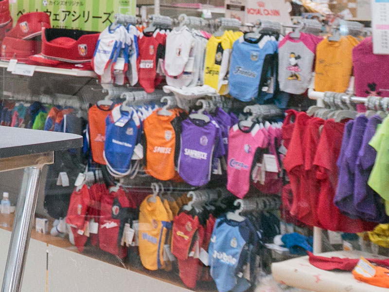 【AOプレスクール】業界の大手企業に見学に行こう! イオンペット pecos 幕張新都心店
