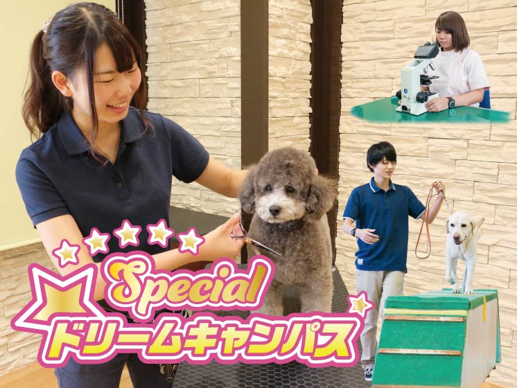 1日でわかる!☆ペットのお仕事体験